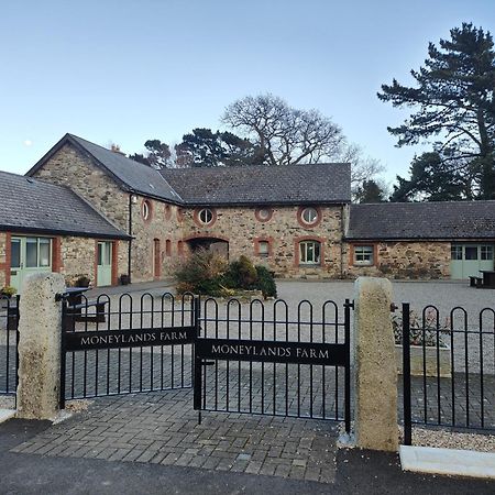 Vila The View At Moneylands Arklow Exteriér fotografie